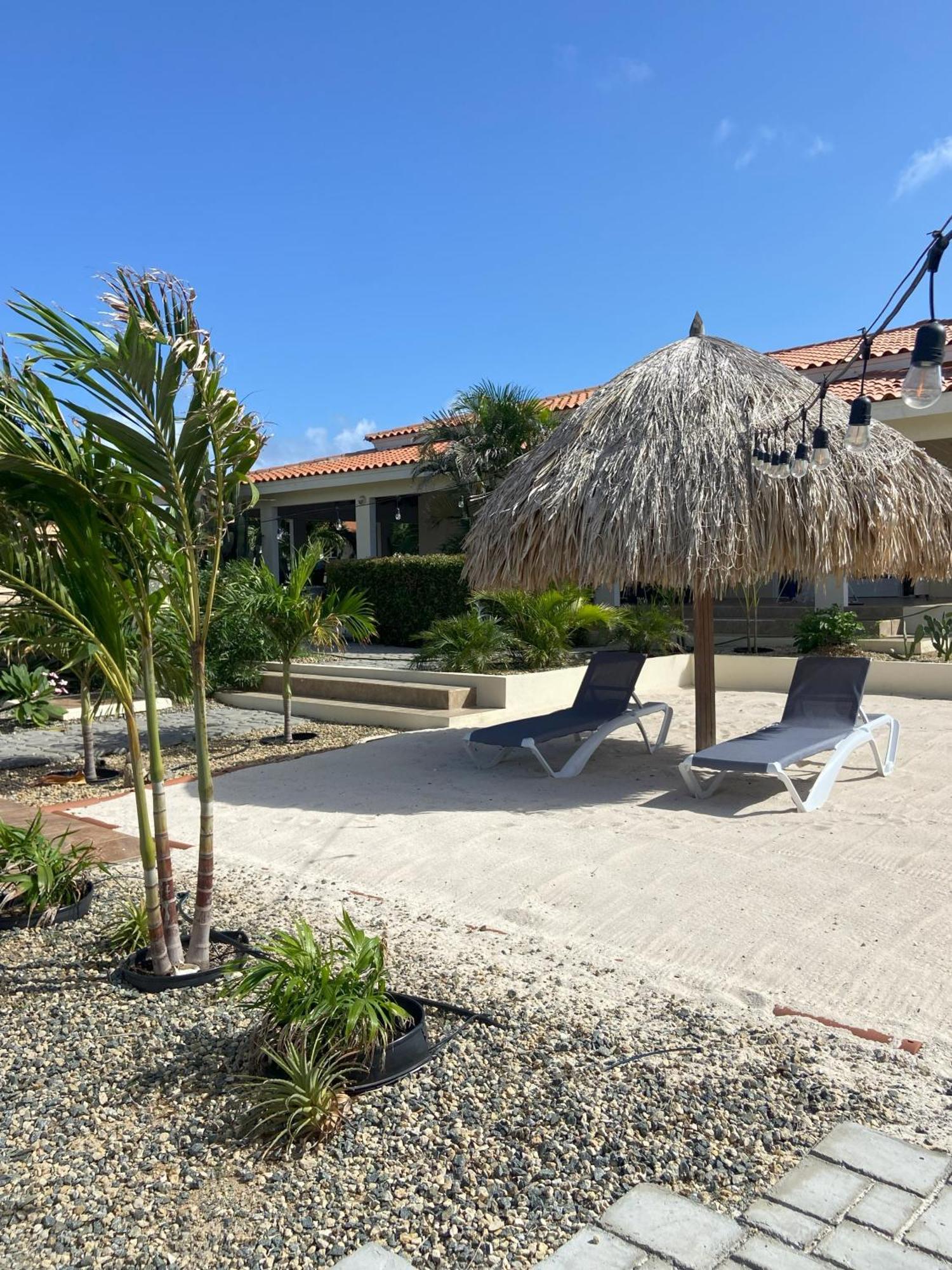 Pura Vida Aruba Appartement Palma Ноорд Екстериор снимка