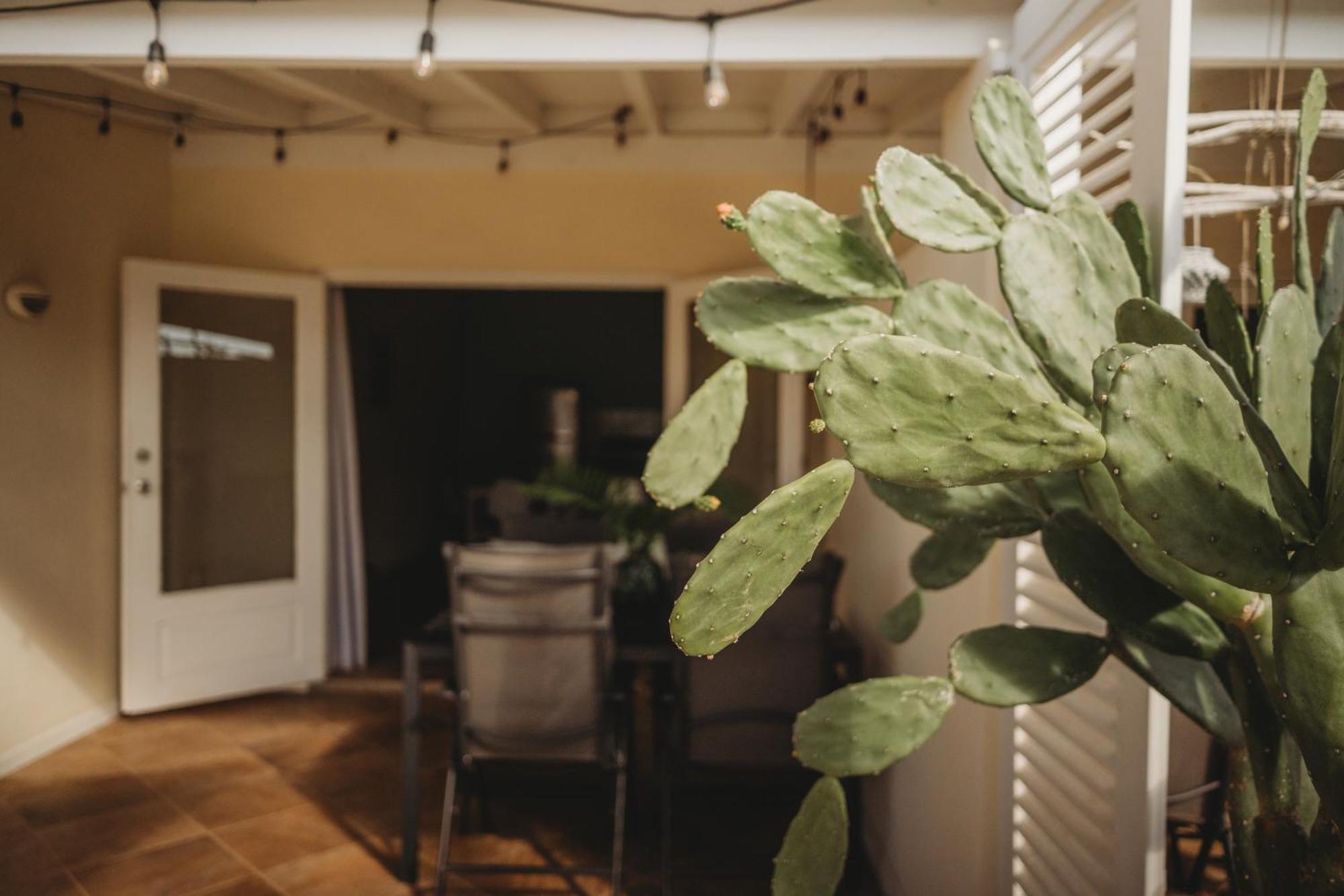 Pura Vida Aruba Appartement Palma Ноорд Екстериор снимка